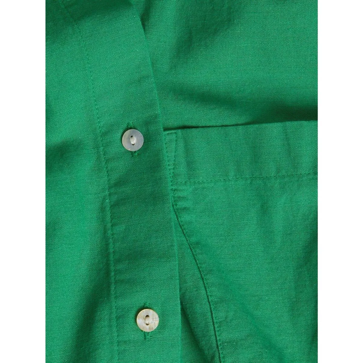 12225268 PENNYMEDIUM GREEN