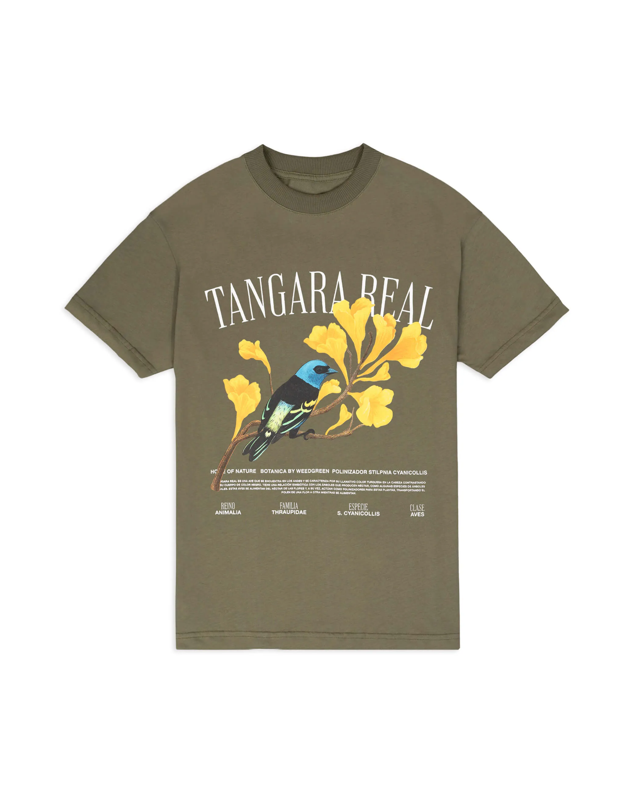 Camiseta TANGARA REAL verde