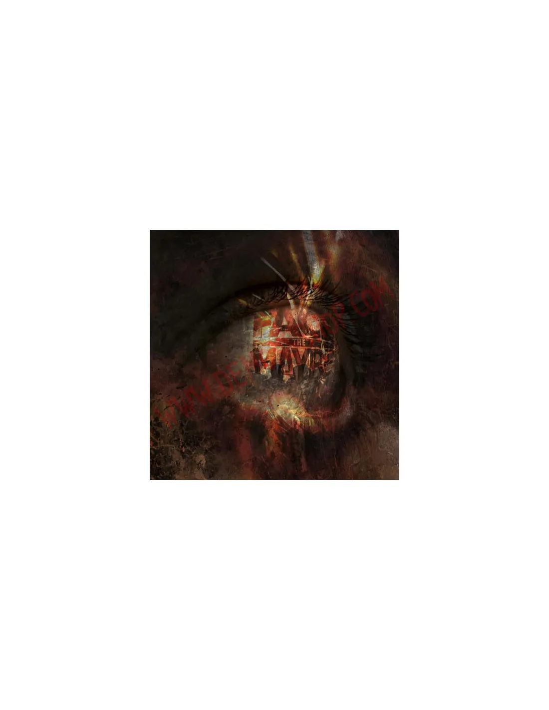 CD Face The Maybe ‎– Insight