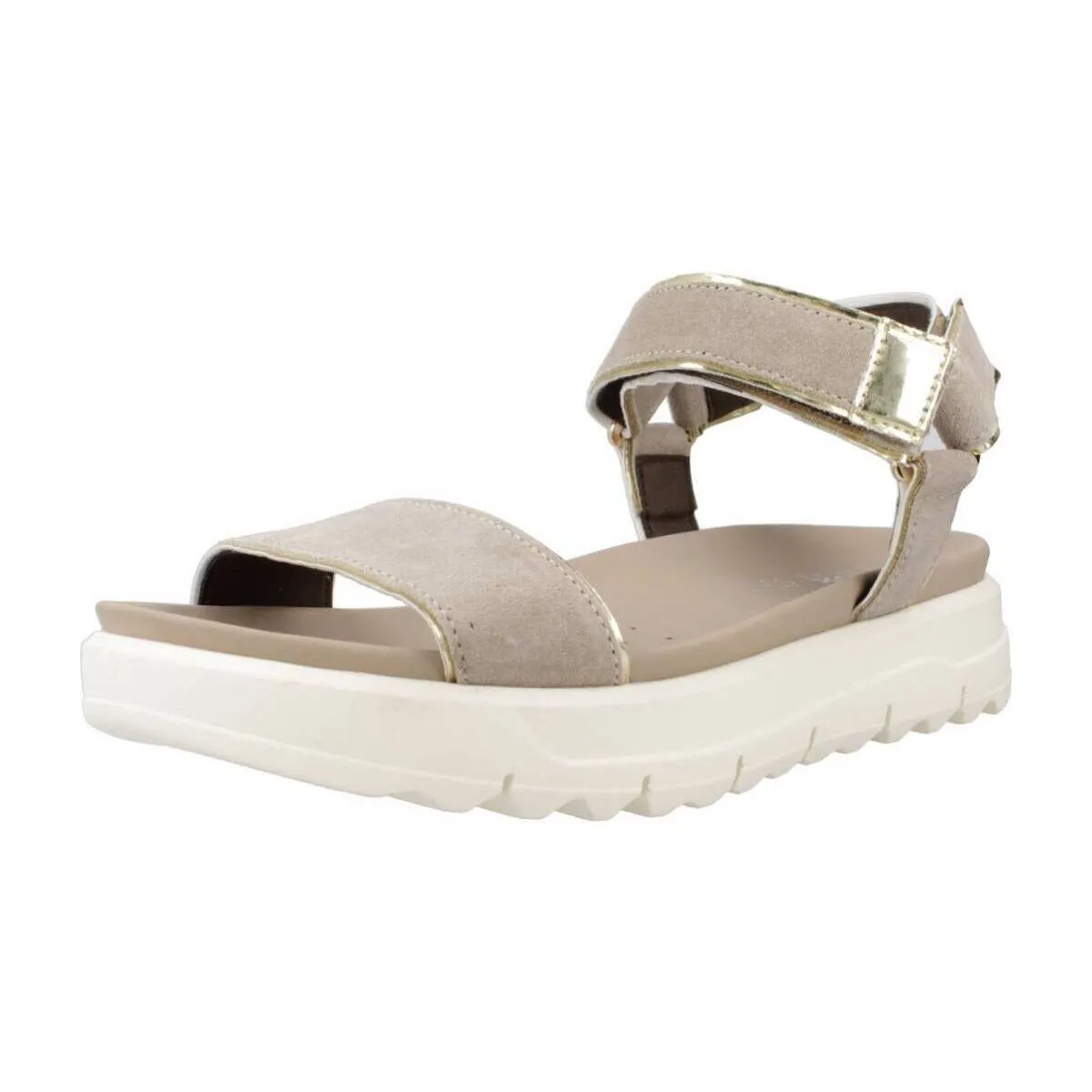 D XAND 2.1S