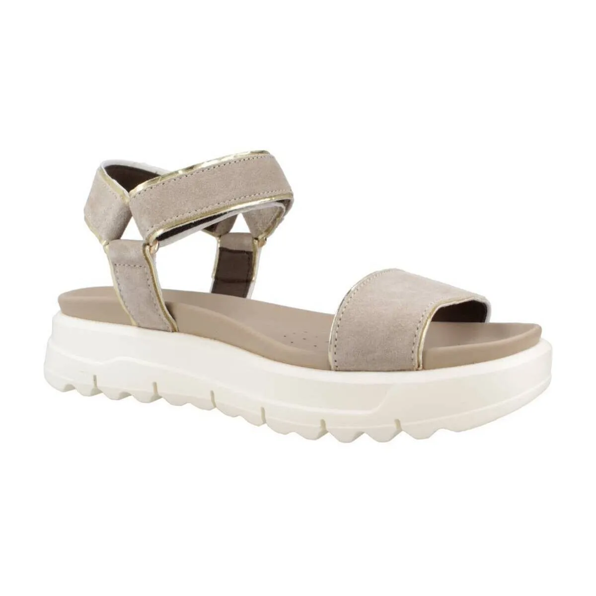D XAND 2.1S