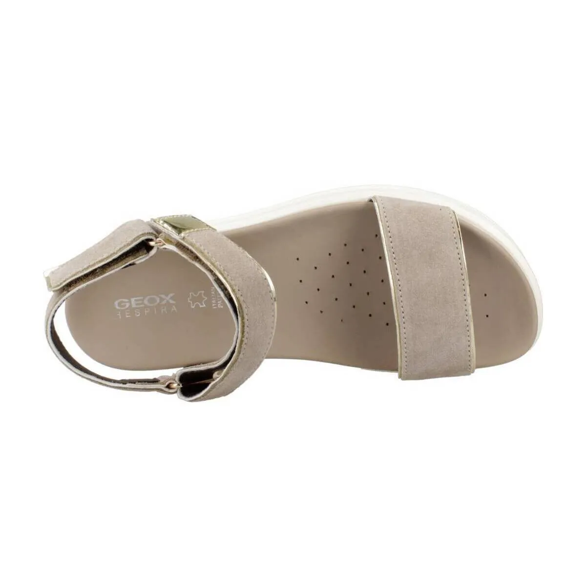 D XAND 2.1S