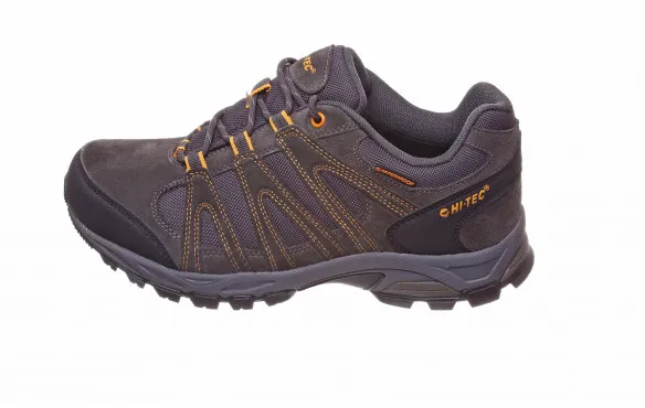 HITEC ALTO WP